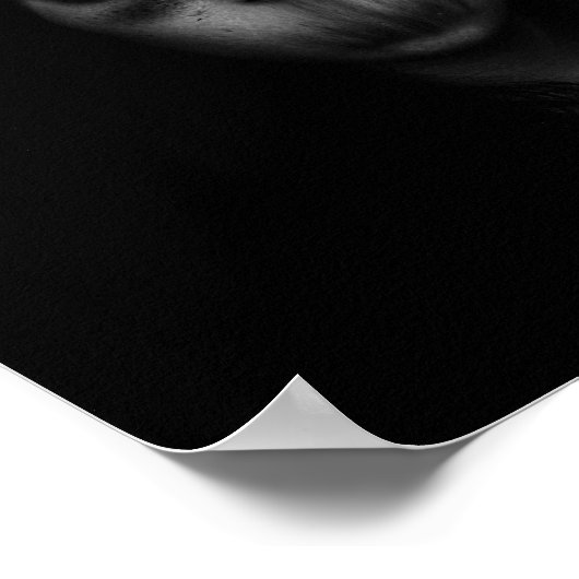 Poster Trois foncés (Coin)