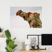 Poster Trois Geckos À Pois (Bureau à domicile)