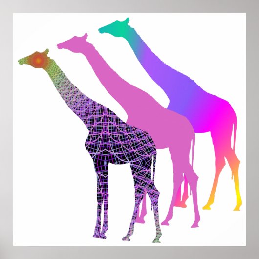 Poster Trois Giraffes Design 4 (Devant)