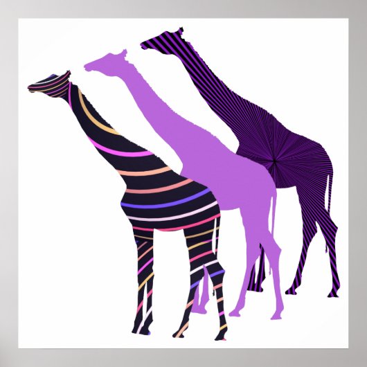 Poster Trois Giraffes Design 5 (Devant)