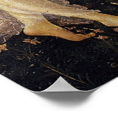 POSTER TROIS GRACES (Coin)