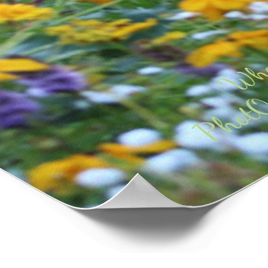 Poster Trois Jardins Rencontrés (Coin)