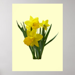 Poster Trois jonquilles tenant la garde