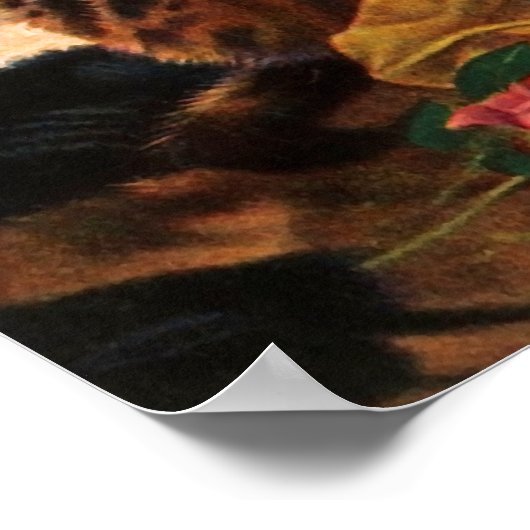 Poster Trois Kitten Vintage (Coin)