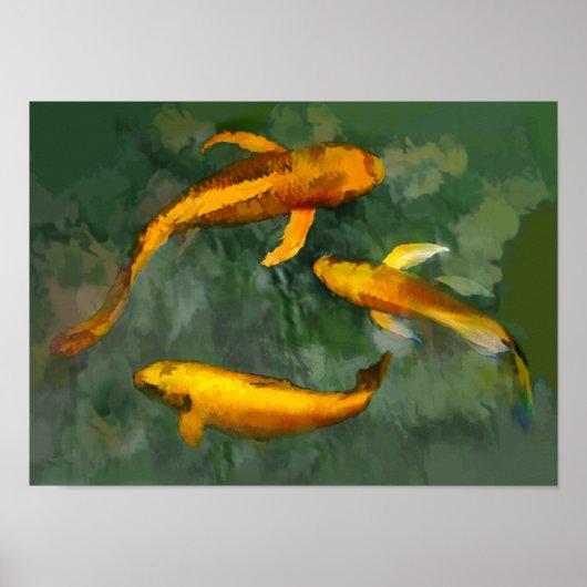 Poster Trois kois dans une fontaine (Devant)