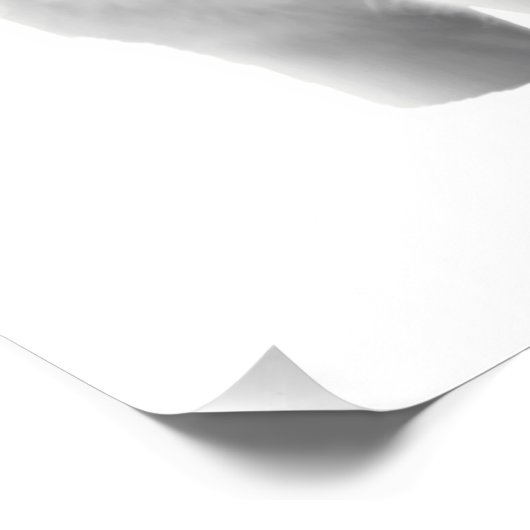 Poster Trois Loups blancs (Coin)