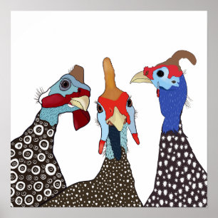 Poster Trois mignons Oiseaux à tête molle de Guinée