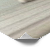 Poster Trois mignons petits chiots posant pour la caméra (Coin)