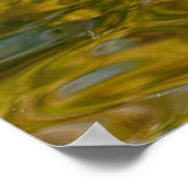 Poster trois oies nageant (Coin)