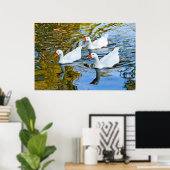 Poster trois oies nageant (Bureau à domicile)