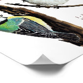 Poster Trois oiseaux de jardin (Coin)