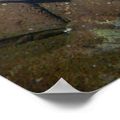 Poster Trois oubliés (Coin)