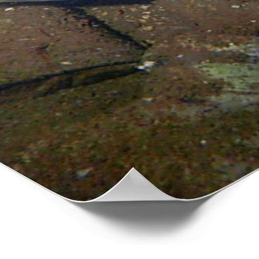 Poster Trois oubliés (Coin)