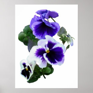 Poster Trois panneaux violets dans une rangée