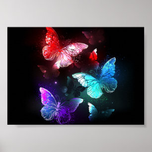 Poster Trois papillons brillants sur l'arrière - plan de