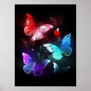 Poster Trois papillons lumineux sur fond de nuit
