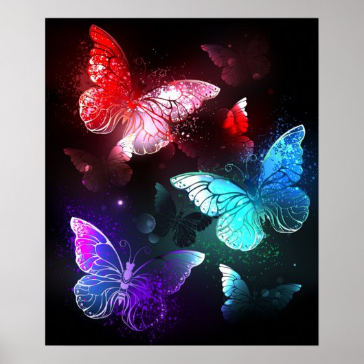 Poster Trois papillons lumineux sur fond de nuit (Devant)