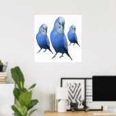 Poster trois perruches bleues (Bureau à domicile)