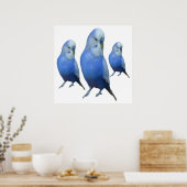 Poster trois perruches bleues (Cuisine)