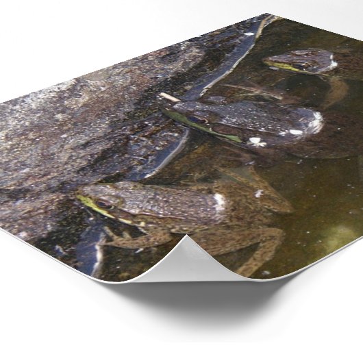 Poster Trois petites fleurs (Coin)