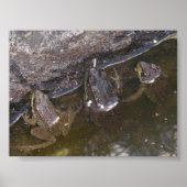 Poster Trois petites fleurs (Devant)