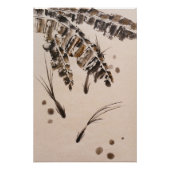Poster Trois petits poissons (Devant)
