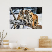 Poster Trois petits tigres en jeu (Cuisine)