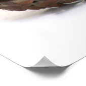 Poster Trois pinecones (Coin)