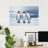 Poster Trois pingouins royaux (Bureau à domicile)
