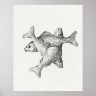 Poster Trois poissons