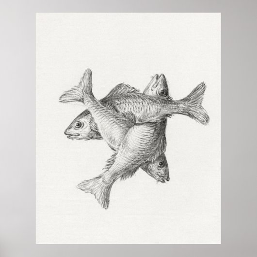 Poster Trois poissons (Devant)