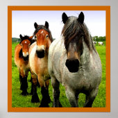 Poster Trois Ponts (Devant)