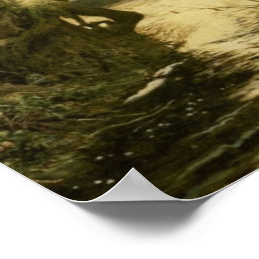 Poster Trois ravens (Coin)