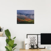 Poster Trois saisons de feuillage, érables rouges et auto (Bureau à domicile)