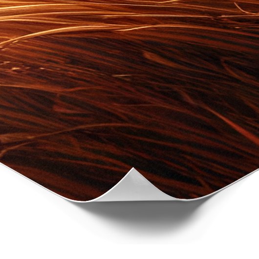 Poster Trois singes se fracturant dans le pré (Coin)