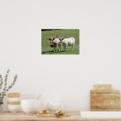 Poster Trois Texas Longhorns (Cuisine)