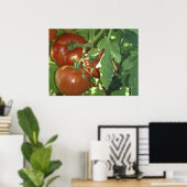 Poster Trois tomates (Bureau à domicile)