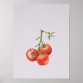 Poster Trois tomates sur la vigne 1997 (Devant)