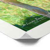 Poster Trois vaches Holstein (Coin)