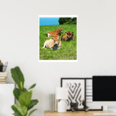 Poster Trois vaches Jersey (Bureau à domicile)