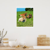 Poster Trois vaches Jersey (Cuisine)