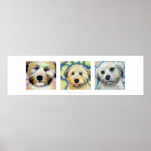 Poster Trois Wheaten Terrier peintures amusant chien art (Devant)