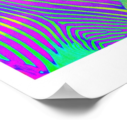 Poster trois zèbres (Coin)