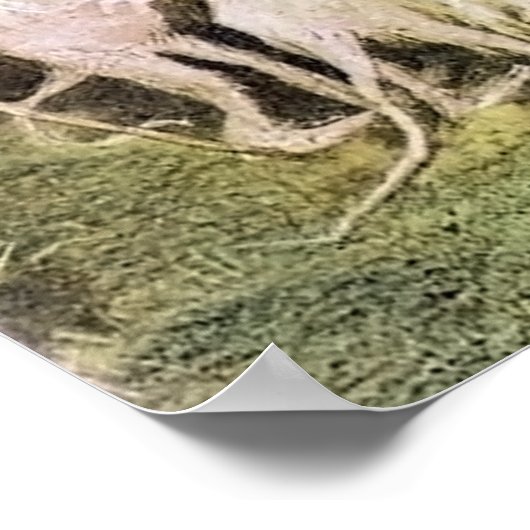 Poster Troll avec sa grenouille (Coin)