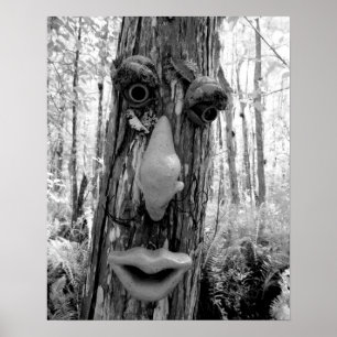 Poster Troll d'arbre sur un grand cyprès.