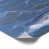 Poster Trolling pour le poisson bleu au large de la côte  (Coin)