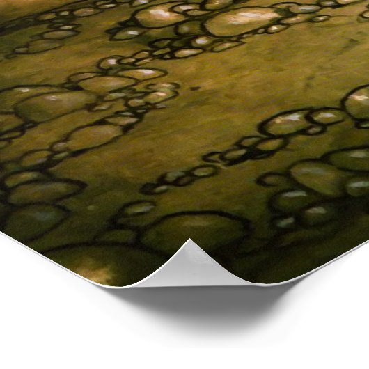 Poster Trolls, 1915 par John Bauer (Coin)