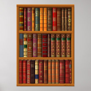 Poster Trompe - l ' oeil "bibliothèque française".