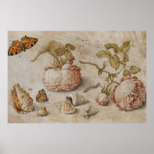 Poster Trompe l'oeil Still Life - Jan van Kessel l'Ancien (Devant)