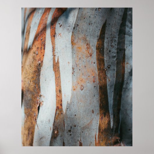 Poster tronc d'arbre Brown et gris (Devant)